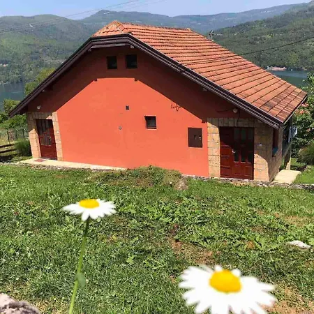 Konstantinovic Apartment *